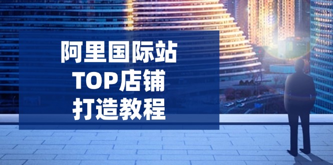 阿里国际站TOP店铺打造教程：涵盖平台到高阶，解决运营难题，提升询盘 - 严选资源大全 - 严选资源大全