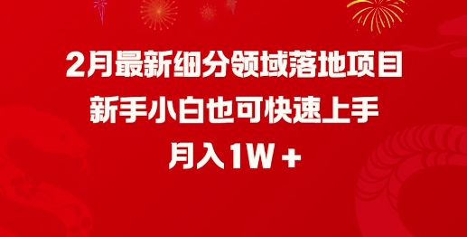 2月最新细分领域落地项目，新手小白也可快速上手，月入1W - 严选资源大全 - 严选资源大全