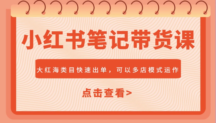 小红书笔记带货课，大红海类目快速出单，市场大，可以多店模式运作 - 严选资源大全 - 严选资源大全