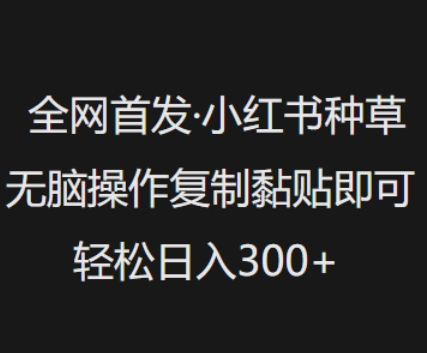 全网首发，小红书种草无脑操作，复制黏贴即可，轻松日入3张 - 严选资源大全 - 严选资源大全