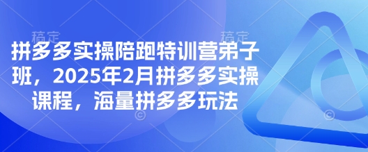 拼多多实操陪跑特训营弟子班，2025年2月拼多多实操课程，海量拼多多玩法 - 严选资源大全 - 严选资源大全