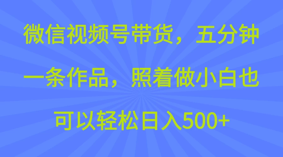 微信视频号带货，五分钟一条作品，照着做小白也可以轻松日入500+ - 严选资源大全 - 严选资源大全